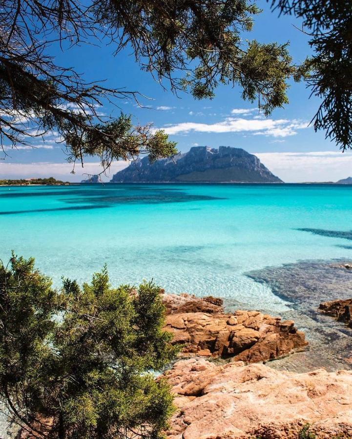 أولبيا Porto Istana Beach House المظهر الخارجي الصورة